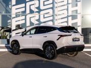 JETOUR DASHING I Краснодар  - изображение 22