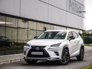 Lexus NX I Рестайлинг Санкт-Петербург  - изображение 31