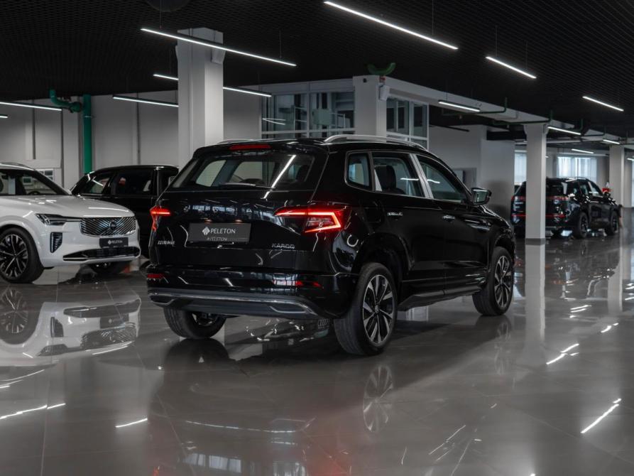 Skoda Karoq I Москва  - изображение 4