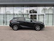 Lexus NX I Рестайлинг Воронеж  - изображение 16