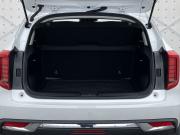 Haval Jolion I Тамбов  - изображение 26