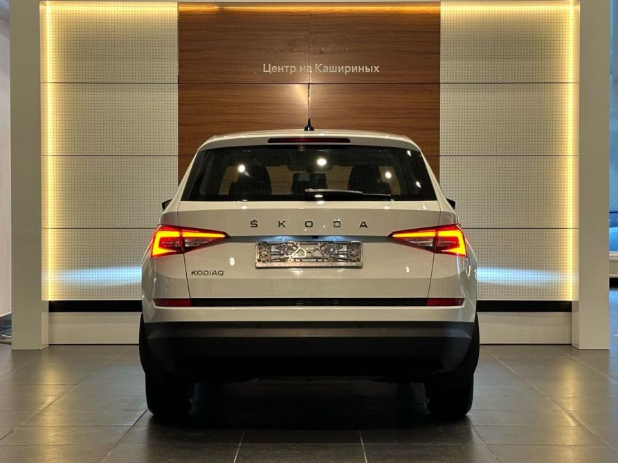 Skoda Kodiaq I Челябинск  - изображение 5
