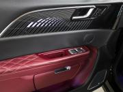 Hongqi E-HS9 Москва  - изображение 57