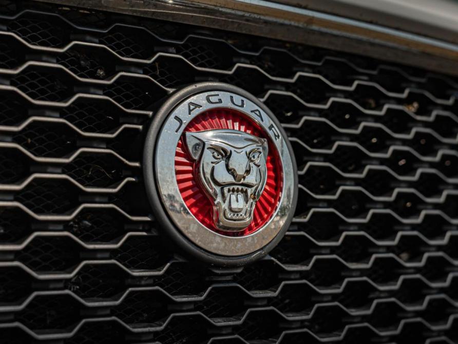 Jaguar F-Pace I Краснодар  - изображение 10
