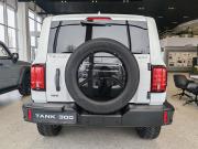 Tank 300 I Тольятти  - изображение 36