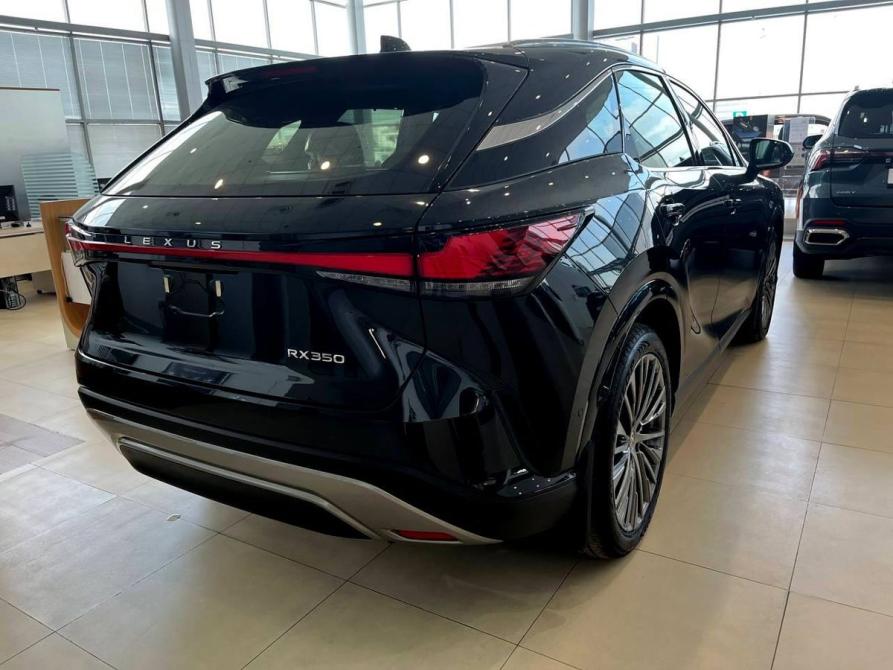 Lexus RX V Челябинск  - изображение 11