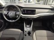 Skoda Octavia IV (A8) Екатеринбург  - изображение 53