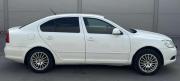 Skoda Octavia II (A5) Рестайлинг Липецк  - изображение 18