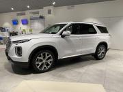 Hyundai Palisade I Рестайлинг Москва  - изображение 8