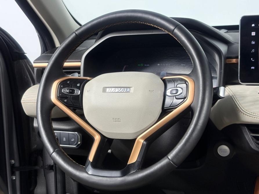 Haval Jolion I Борисоглебск  - изображение 16