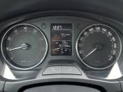 Skoda Rapid I Рестайлинг Екатеринбург  - изображение 38