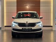 Skoda Kodiaq I Челябинск  - изображение 21