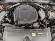 Audi A4 V (B9) Рестайлинг Москва  - изображение 36