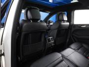 Mercedes-Benz GLE AMG I (W166) Москва  - изображение 44