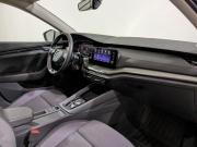 Skoda Octavia IV (A8) Химки  - изображение 45