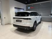 Chery Tiggo 9 I Новосибирск  - изображение 39