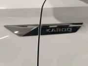 Skoda Karoq I Пермь  - изображение 33