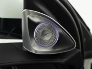 Mercedes-Benz S-Класс VII (W223) Москва  - изображение 67