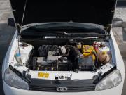 Lada (ВАЗ) Kalina I Курган  - изображение 43