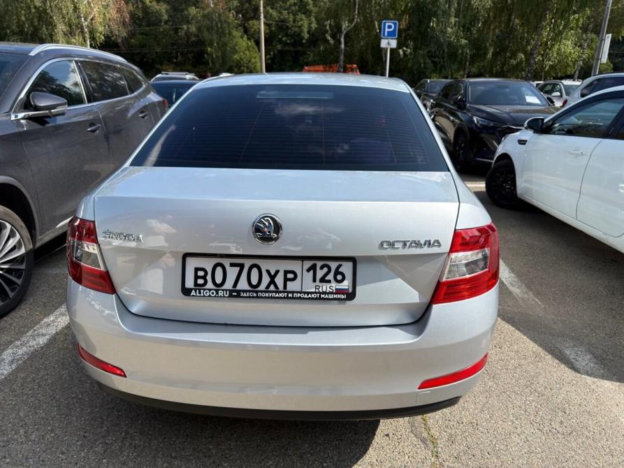 Skoda Octavia III (A7) Ставрополь  - изображение 2