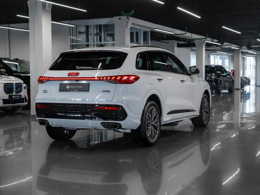 Audi Q5 III (GU) Москва  - изображение 5