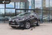 Lexus NX I Рестайлинг Казань  - изображение 19