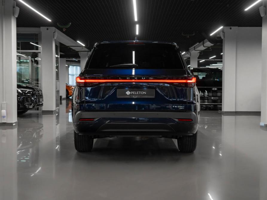 Lexus TX Москва  - изображение 6
