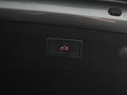Skoda Octavia IV (A8) Екатеринбург  - изображение 34