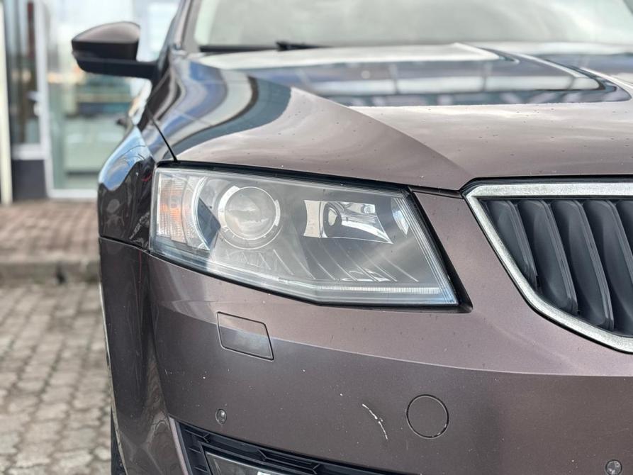 Skoda Octavia III (A7) Череповец  - изображение 4