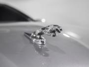 Jaguar X-Type I Иркутск  - изображение 49