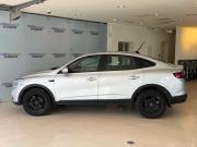 Renault Arkana I Москва  - изображение 25