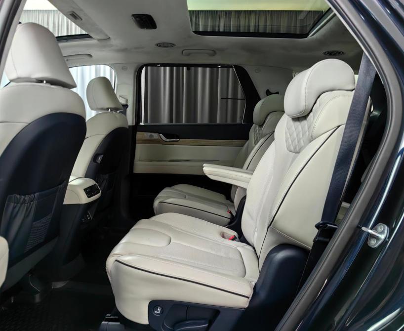 Hyundai Palisade I Москва  - изображение 11
