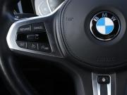 BMW 3 серии VII (G2x) Москва  - изображение 41