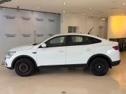 Renault Arkana I Москва  - изображение 25