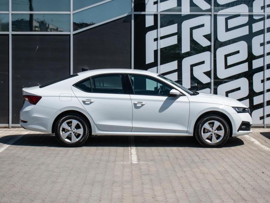 Skoda Octavia IV (A8) Краснодар  - изображение 5