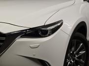 Mazda CX-9 II Москва  - изображение 30