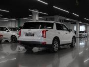 Hyundai Palisade I Москва  - изображение 33