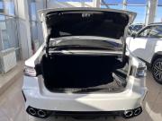 Chery Arrizo 8 Арзамас  - изображение 50