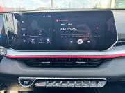 Geely Coolray I Рестайлинг Стройкерамика  - изображение 39