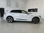 Audi e-tron I Владимир  - изображение 26