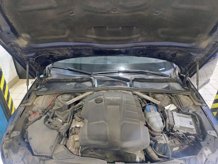 Audi A4 V (B9) Москва  - изображение 19