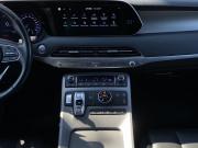 Hyundai Palisade I Москва  - изображение 50