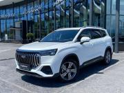 Geely Okavango I Рестайлинг Сочи  - изображение 22