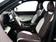 Geely Monjaro I Минеральные Воды  - изображение 32