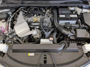 Toyota Corolla XII (E210) Москва  - изображение 38