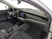 Skoda Octavia IV (A8) Москва  - изображение 40
