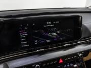 Kia Carnival IV Тюмень  - изображение 59