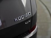 Skoda Kodiaq I Рестайлинг Москва  - изображение 37