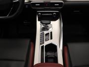 Belgee X50 Москва  - изображение 40