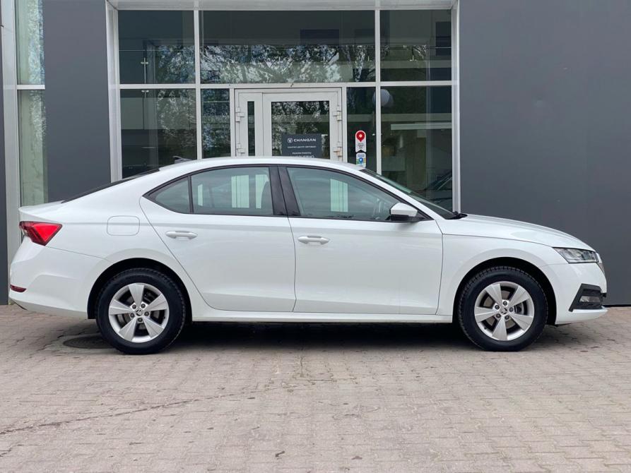 Skoda Octavia IV (A8) Екатеринбург  - изображение 6